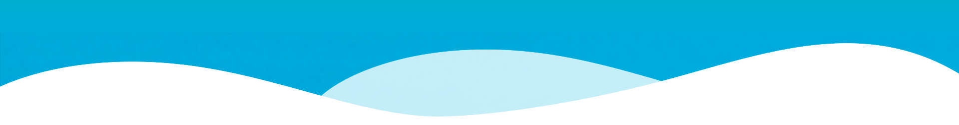 Sul Minas - Orçamento